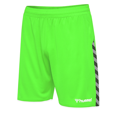 Hummel Authentic Poly Shorts