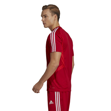 Adidas Tiro 19 Training